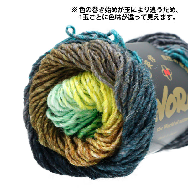 秋冬纱线 “丝绸花园535颜色” Noro Hidaku Noro