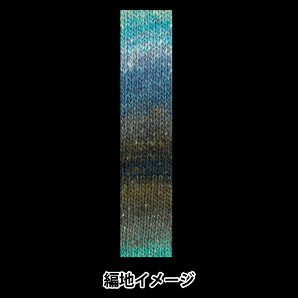 秋冬纱线 “丝绸花园颜色524” noro noro eisaku