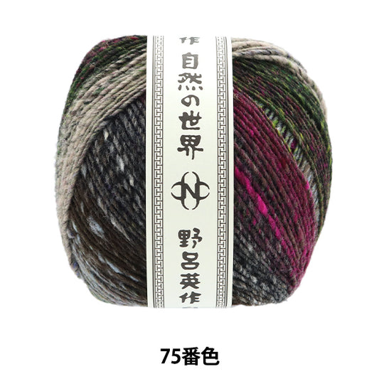 秋冬纱线 “ iko 75th颜色” Noro Hideaku Noro
