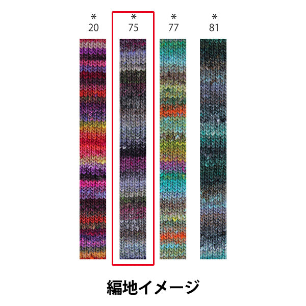 秋冬纱线 “ iko 75th颜色” Noro Hideaku Noro