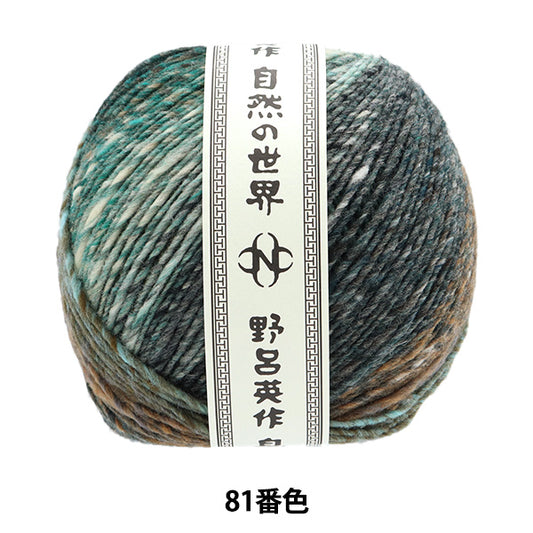 秋冬纱线 “ iko 81st颜色” Noro Hideyaku Noro