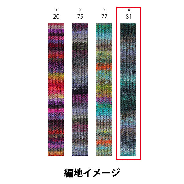 秋冬纱线 “ iko 81st颜色” Noro Hideyaku Noro