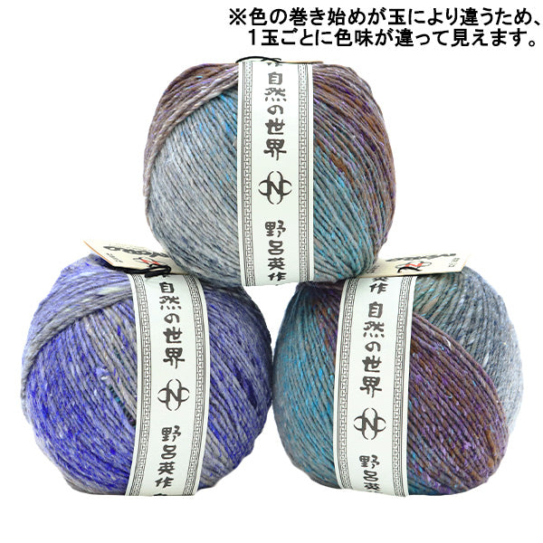 秋冬纱线 “冬天的崛起，第二名” Noro Noro Hidesaku