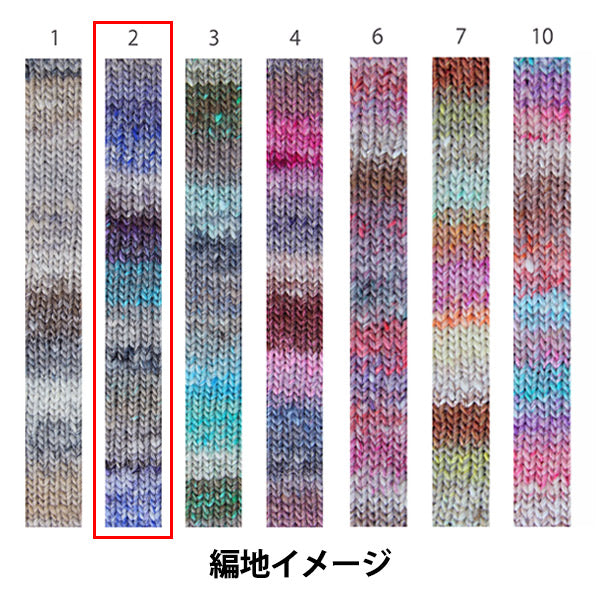秋冬纱线 “冬天的崛起，第二名” Noro Noro Hidesaku