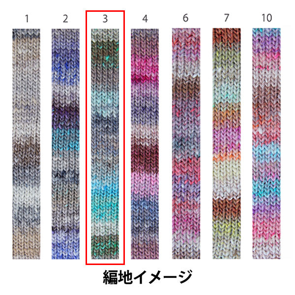 秋冬纱线 “冬天的崛起，第3名” Noro Noro Hidesaku