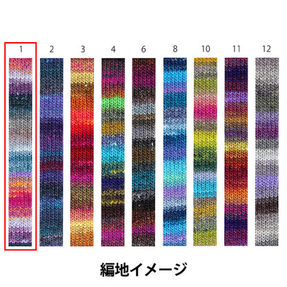 秋冬纱线 “ Saiun，第一颜色” Noro Noro Hidesaku