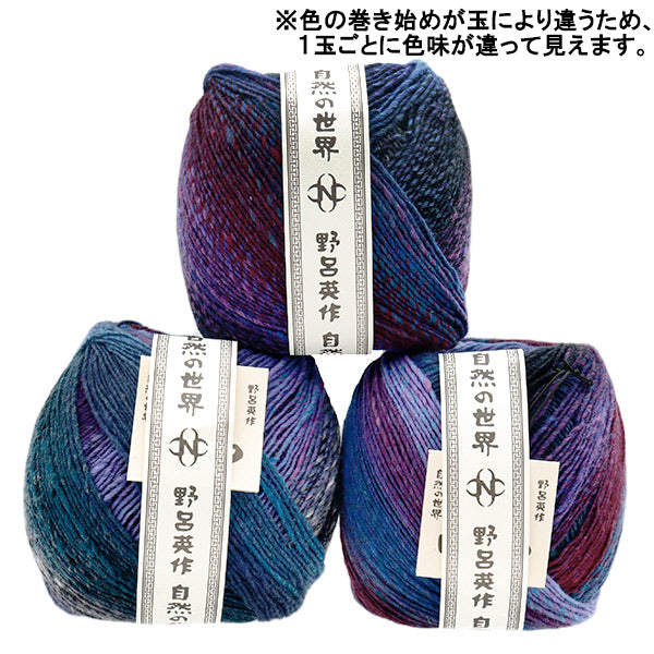 秋冬纱线 “ Saiun，Color 2” Noro Noro Hidesaku