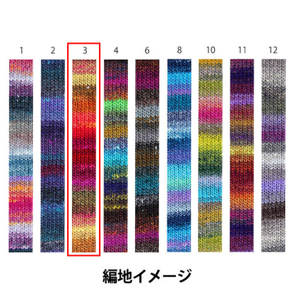 秋冬纱线 “ Saiun，Color 3” Noro Noro Hidesaku