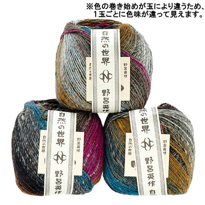 秋冬纱线 “ Saiun，Color 6” Noro Noro Hidesaku