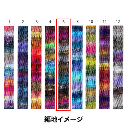 秋冬纱线 “ Saiun，Color 6” Noro Noro Hidesaku