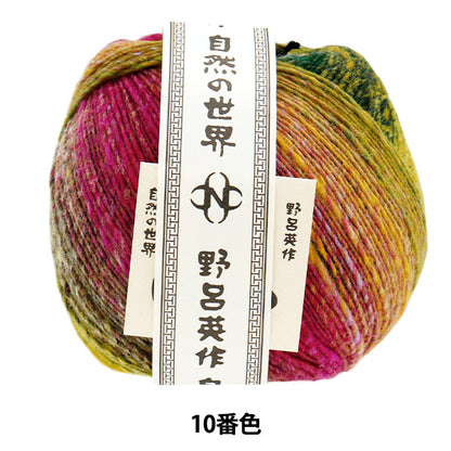 秋冬纱线 “ Saiun Color No. 10” Noro Noro Hidesaku