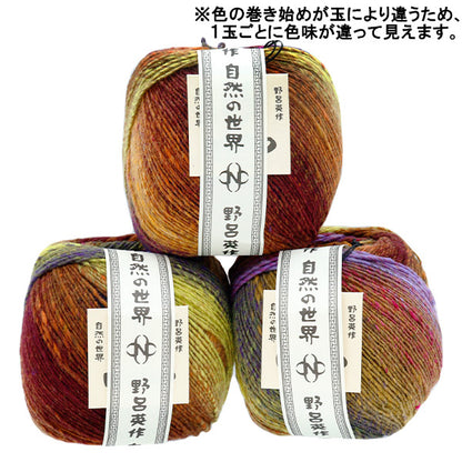 秋冬纱线 “ Saiun 11th颜色” Noro Noro Hidesaku