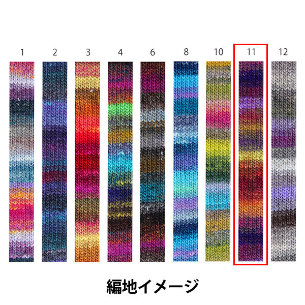 秋冬纱线 “ Saiun 11th颜色” Noro Noro Hidesaku