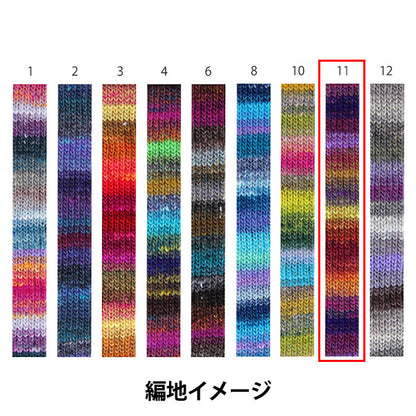 秋冬纱线 “ Saiun 11th颜色” Noro Noro Hidesaku