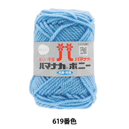 纱线 “ Hamanaka Bonnie Color 619” Hamanaka