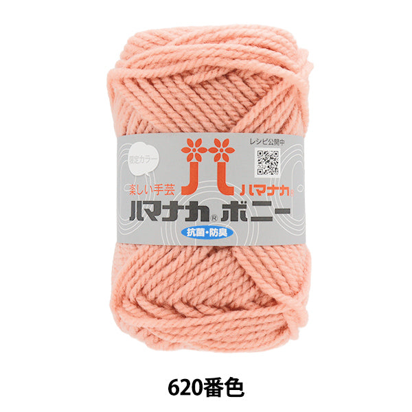 纱线 “ Hamanaka Bonnie Color 620” Hamanaka