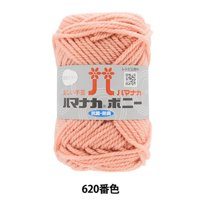 纱线 “ Hamanaka Bonnie Color 620” Hamanaka