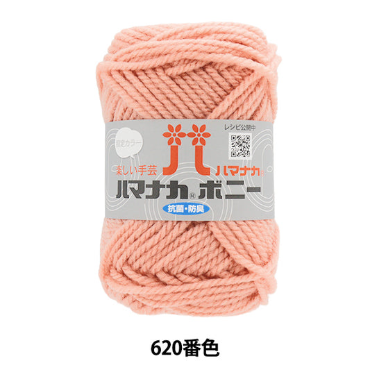 纱线 “ Hamanaka Bonnie Color 620” Hamanaka