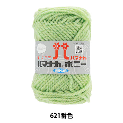 纱线 “ Hamanaka Bonnie Color 621” Hamanaka