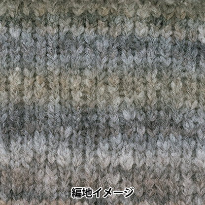 秋冬纱线 “剧院第一颜色” Richmore Rich More