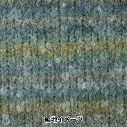 秋冬纱线 “剧院第二颜色” Richmore Rich More