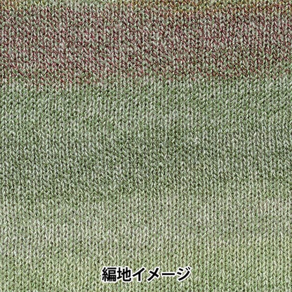 秋冬纱线 “ Topsy第二颜色” Hamanaka