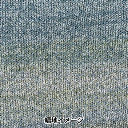 秋冬纱线 “ Topsy第三颜色” Hamanaka