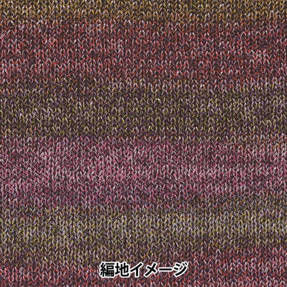秋冬纱线 “ Topsy第四颜色” Hamanaka