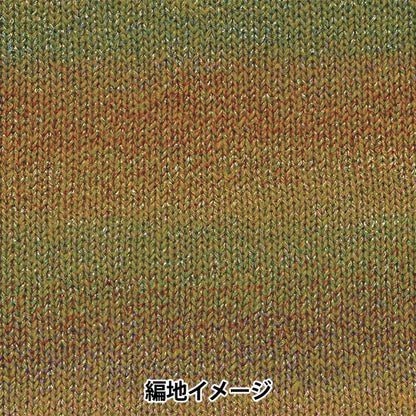 秋冬纱线 “ Topsy第五颜色” Hamanaka