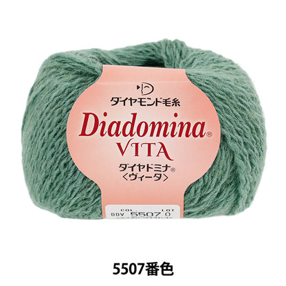 Fall/WinterYarn "Diadomina Vita Color 5507" DIAMOND KNITTING YARN
