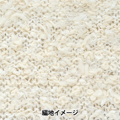 秋冬毛糸 『コラージュ 1番色』 Rich More リッチモア
