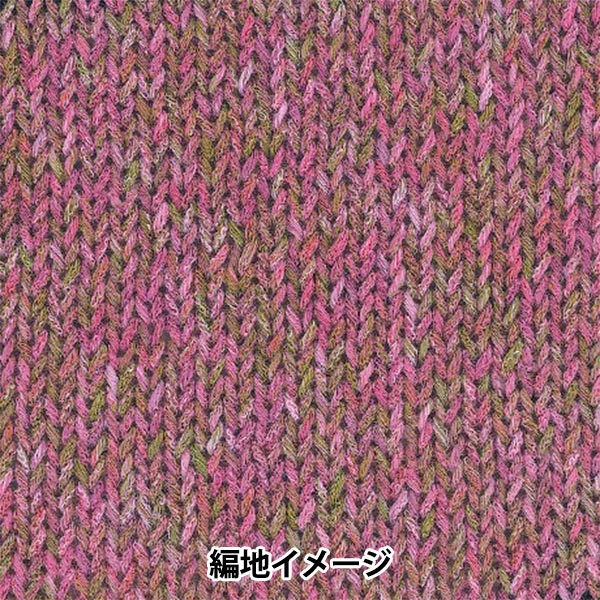 春夏纱线 “ Hosoyuki，颜色4”丰富