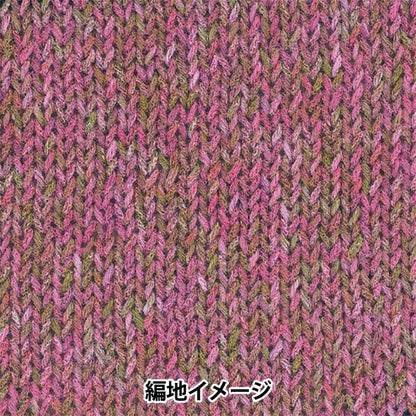 春夏纱线 “ Hosoyuki，颜色4”丰富
