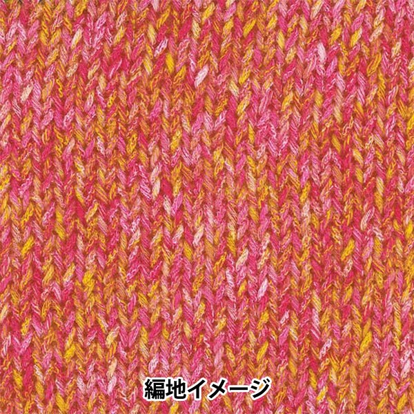 春夏纱线 “ Hosoyuki Color 5号” Rich More