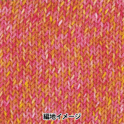 春夏纱线 “ Hosoyuki Color 5号” Rich More