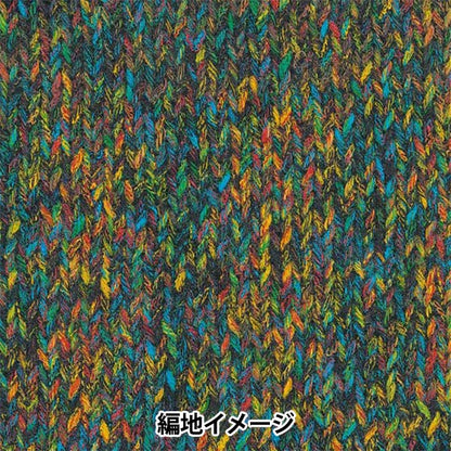 春夏纱线 “ Hosunyuki Color 7” Rich More