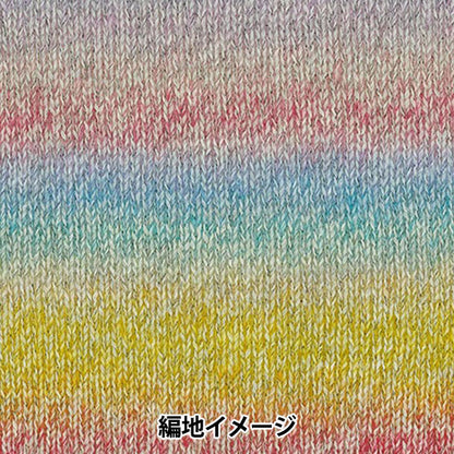 秋冬纱线 “巴卡拉特钩针颜色404”丰富