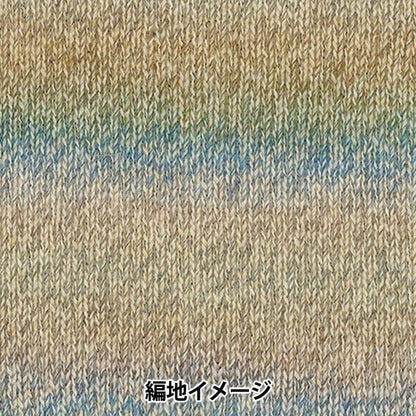 秋冬纱线 “巴卡拉特钩针颜色406”丰富
