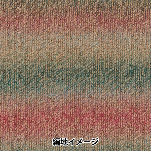 秋冬纱线 “百家乐钩针颜色407”丰富