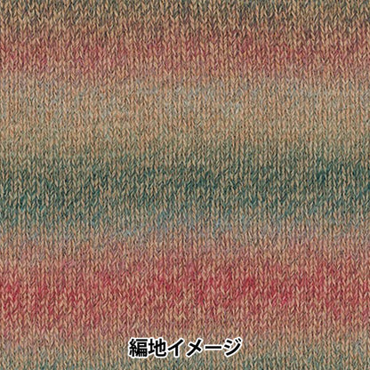 秋冬纱线 “百家乐钩针颜色407”丰富