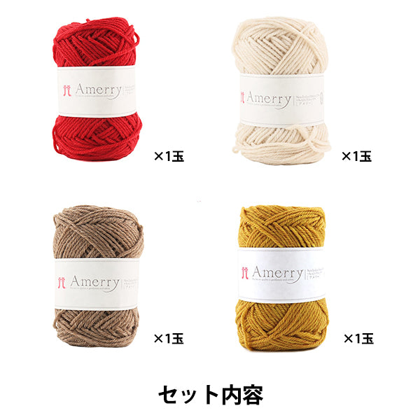 [带视频]编织套件 "4配色方案STT-24A-1" Hamanaka