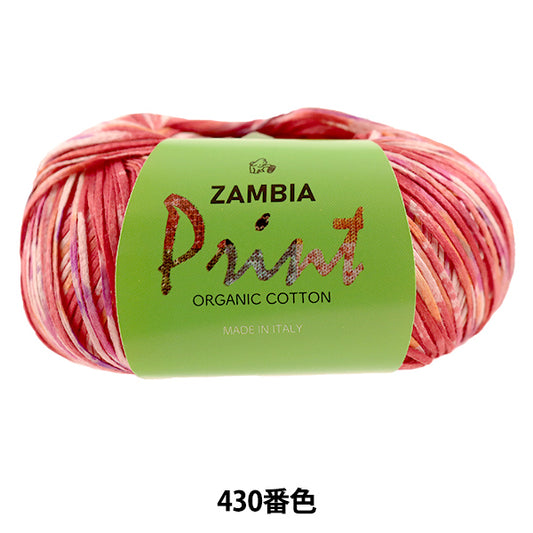 春夏纱线 “ Zambi Apjint 430颜色” Puppy