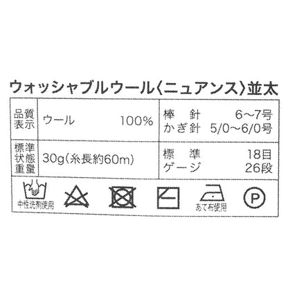 秋冬毛糸 『ウォッシャブルウール並太 ニュアンス 19番色』 World Festa ワールドフェスタ 【ユザワヤオリジナル】
