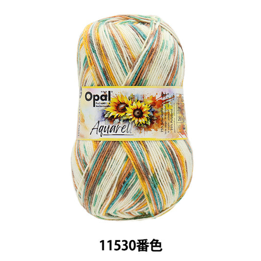 袜子纱线 纱线 “ Aquarel -4ply Color 11530”蛋白石