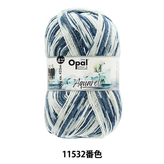 袜子纱线 纱线 “ Aquarel -4ply Color 11532”蛋白石