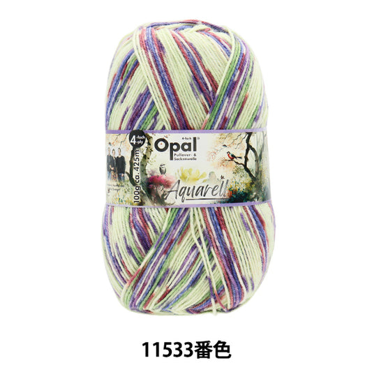 袜子纱线 纱线 “ Aquarel -4ply Color 11533”蛋白石