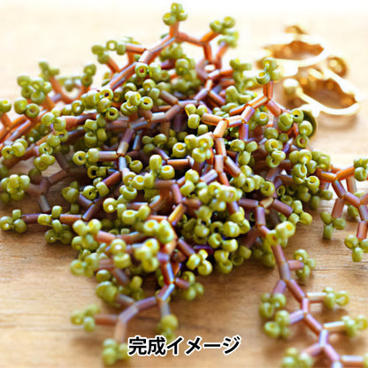 BeadsKit "The Earrings in the Brites HCA23 // 6" MIYUKI Miyuki