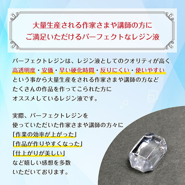 レジン液 『LED&UVパーフェクトレジン 5g XSR-134』 ERUBERU エルベール