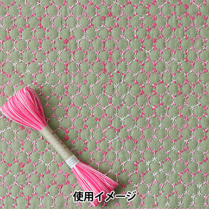 绣花线“ sashiko螺纹58颜色（腮红）” Olympus