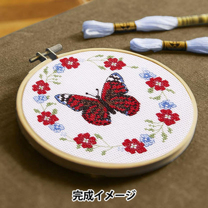 Embroidery kit "Designer Collection Butterfly Li -Room BK411" DMC Diementsea